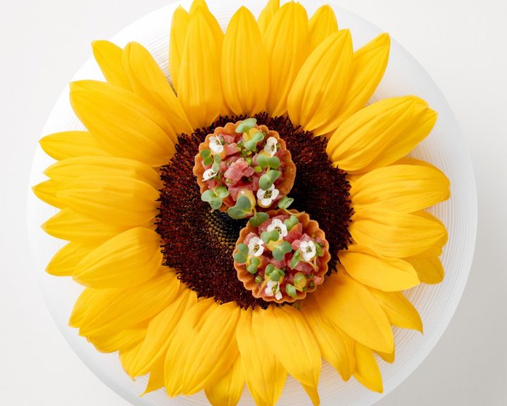 Creative modern British tasting-menu dish at Frog by Adam Handling